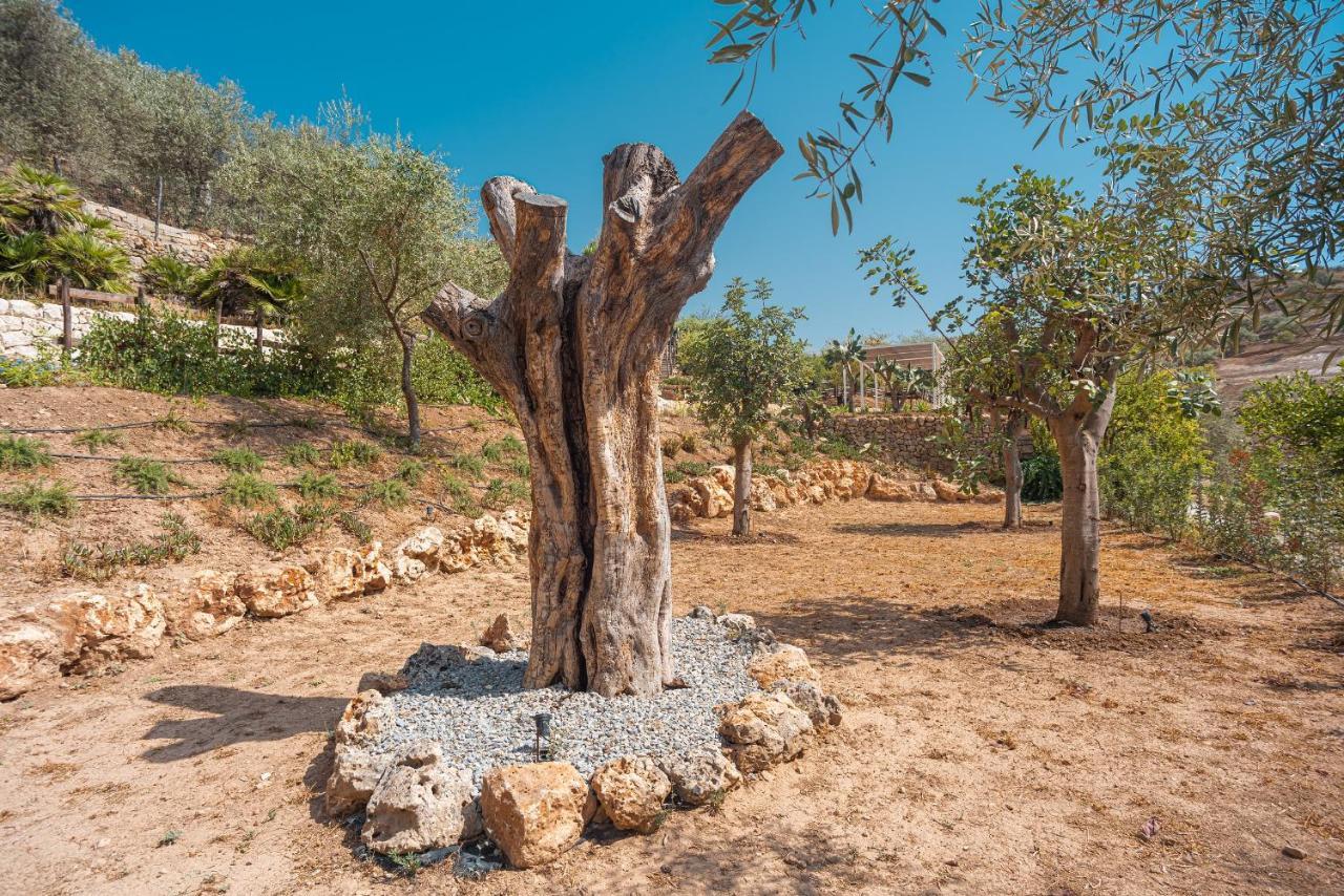 Azalo Country House Konuk evi Noto Dış mekan fotoğraf