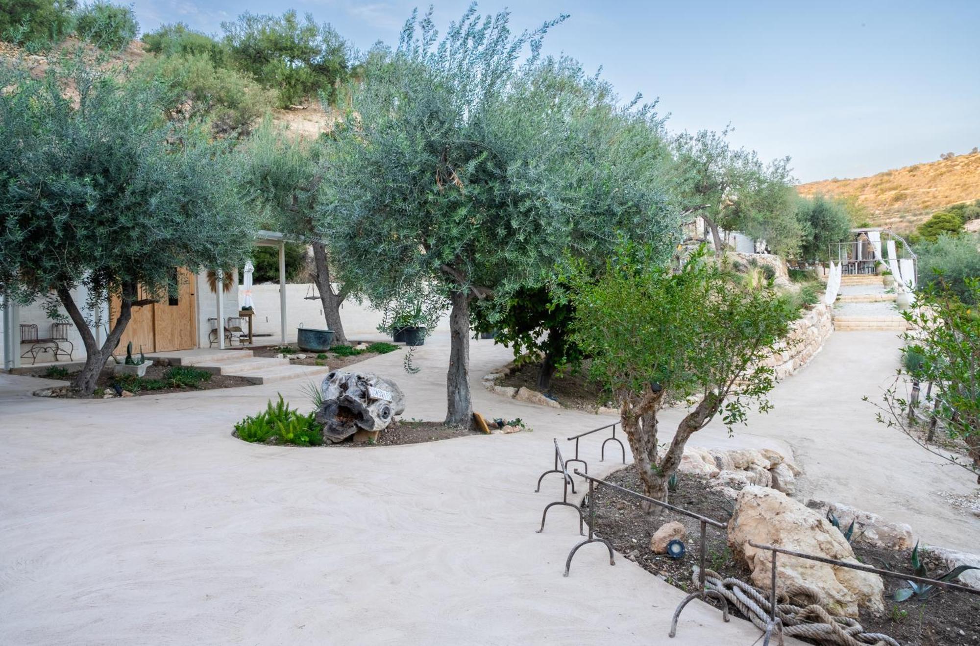 Azalo Country House Noto Dış mekan fotoğraf